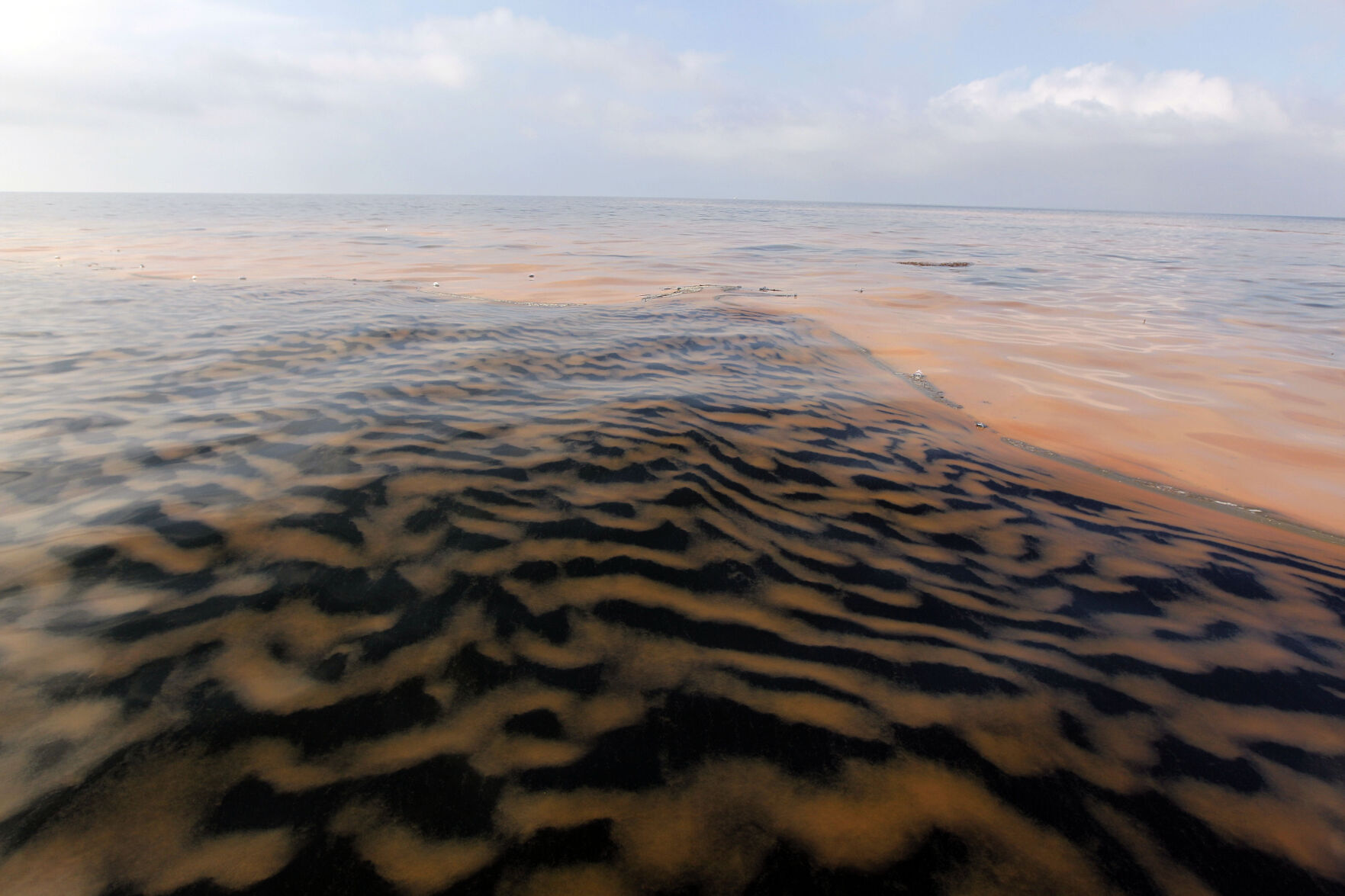 2010: The Gulf of Mexico